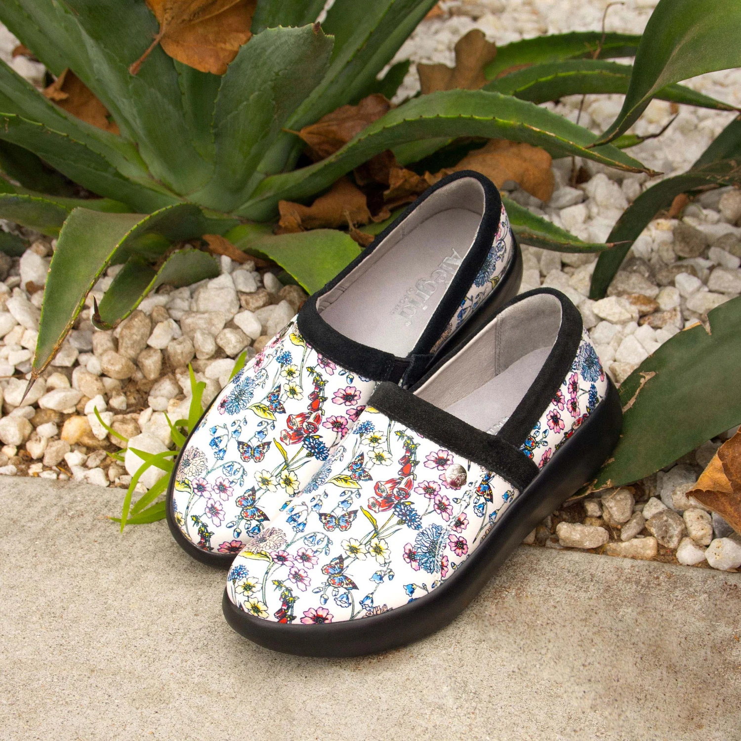 Shoes Emry Fine & Dandy Shoe 4 Shoes Emry Fine & Dandy Shoe - Image 2