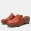 Shoes Sereniti Rust Shoe -Shoes Shop SER 8154 S1 597c974e 6c82 4c70 a9f6 b75538e51433